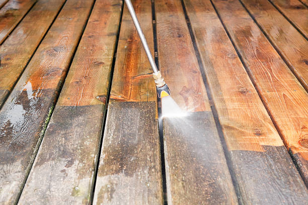Best Exterior Home Cleaning  in Wona Lake, IN